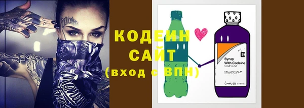 хмурый Абаза