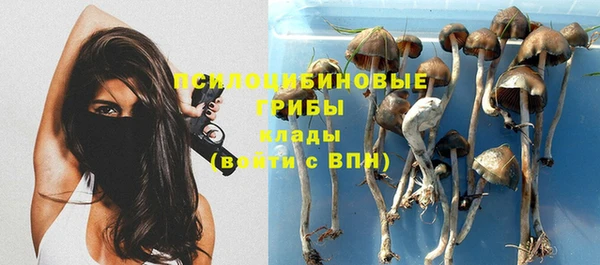 хмурый Абаза