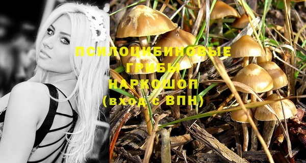 соль курить ск Алексин