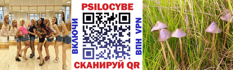 Псилоцибиновые грибы мицелий  Белоозёрский 