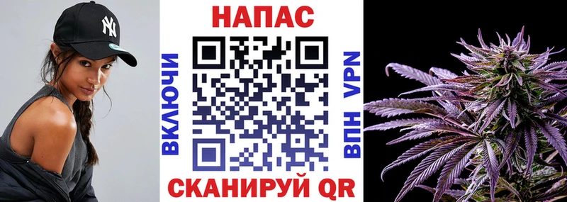 Шишки марихуана Amnesia  сколько стоит  Белоозёрский 